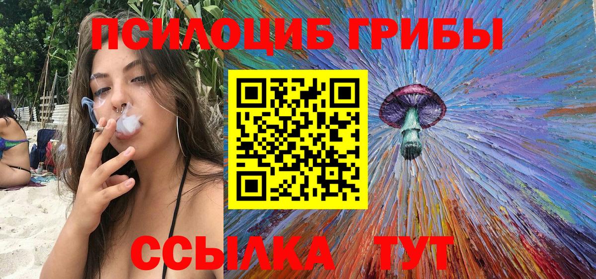 Псилоцибиновые грибы Magic Shrooms Гусиноозёрск