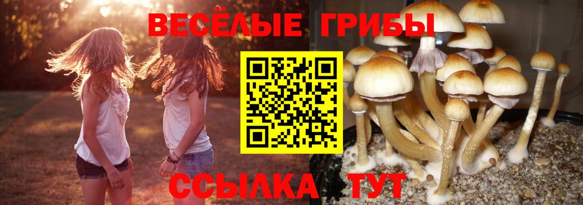 Галлюциногенные грибы ЛСД  Вход с VPN  Гусиноозёрск 